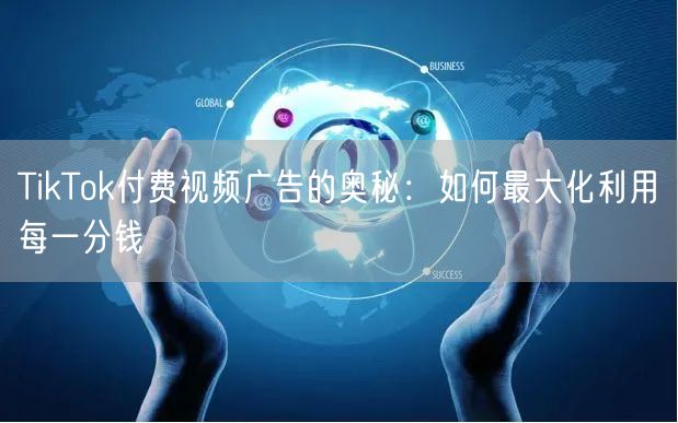 TikTok付费视频广告的奥秘：如何最大化利用每一分钱