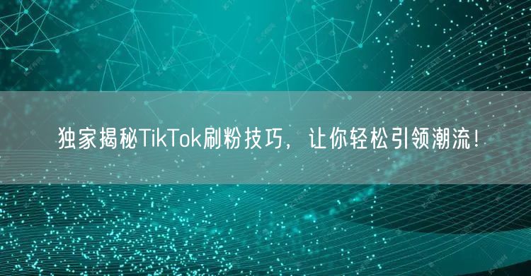 独家揭秘TikTok刷粉技巧，让你轻松引领潮流！