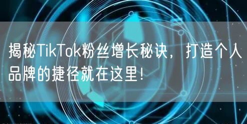 揭秘TikTok粉丝增长秘诀，打造个人品牌的捷径就在这里！