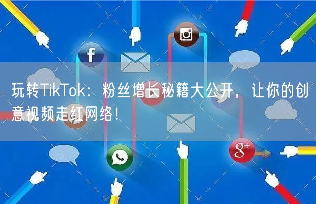 玩转TikTok：粉丝增长秘籍大公开，让你的创意视频走红网络！