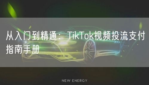 从入门到精通：TikTok视频投流支付指南手册