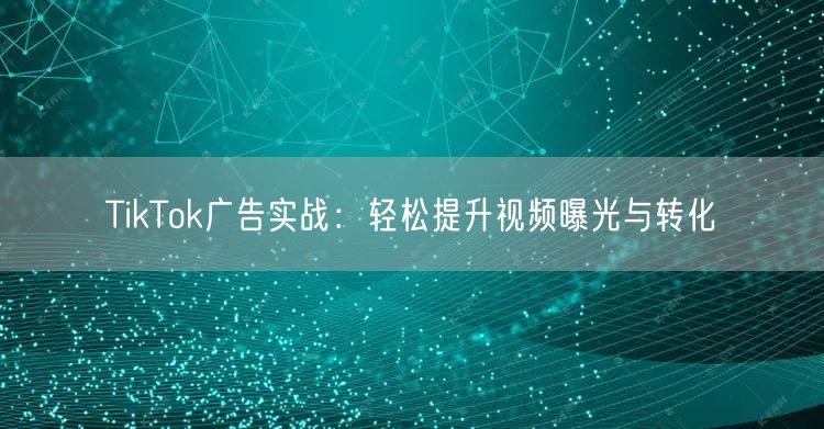 TikTok广告实战：轻松提升视频曝光与转化