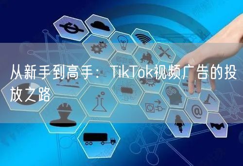 从新手到高手：TikTok视频广告的投放之路