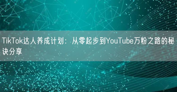 TikTok达人养成计划：从零起步到YouTube万粉之路的秘诀分享