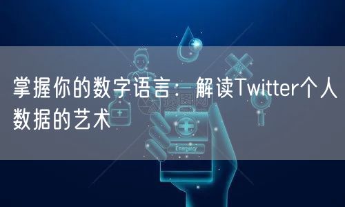 掌握你的数字语言：解读Twitter个人数据的艺术