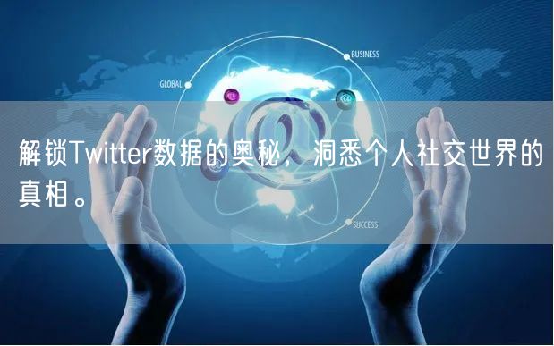 解锁Twitter数据的奥秘，洞悉个人社交世界的真相。