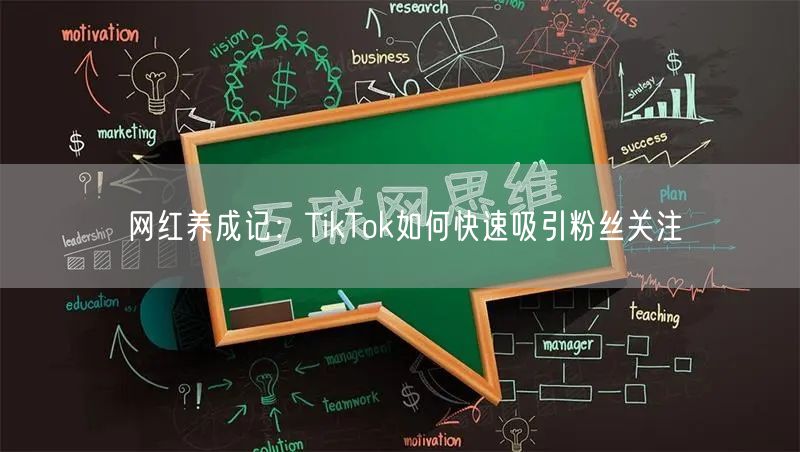 网红养成记：TikTok如何快速吸引粉丝关注