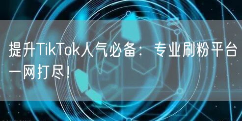 提升TikTok人气必备：专业刷粉平台一网打尽！