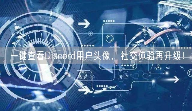 一键查看Discord用户头像，社交体验再升级！