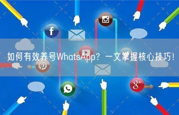 如何有效养号WhatsApp？一文掌握核