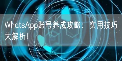 WhatsApp账号养成攻略：实用技巧大
