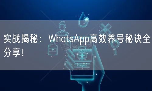实战揭秘：WhatsApp高效养号秘诀全
