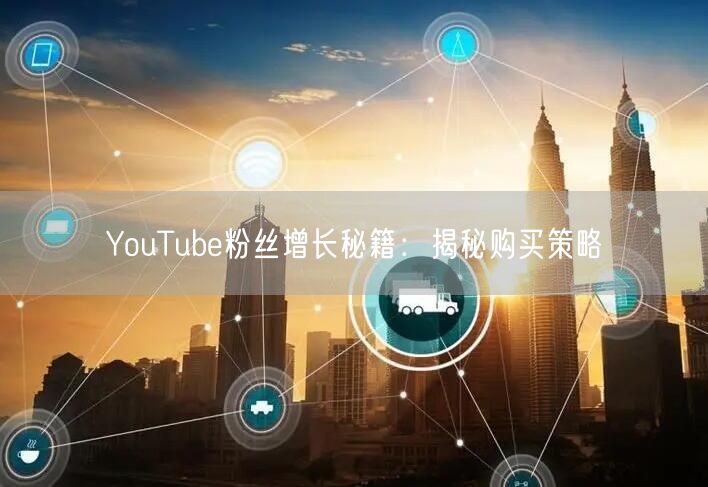 YouTube粉丝增长秘籍：揭秘购买策略